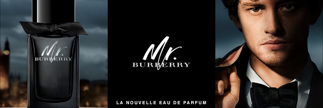 Mr. Burberry Eau de Parfum pour Homme